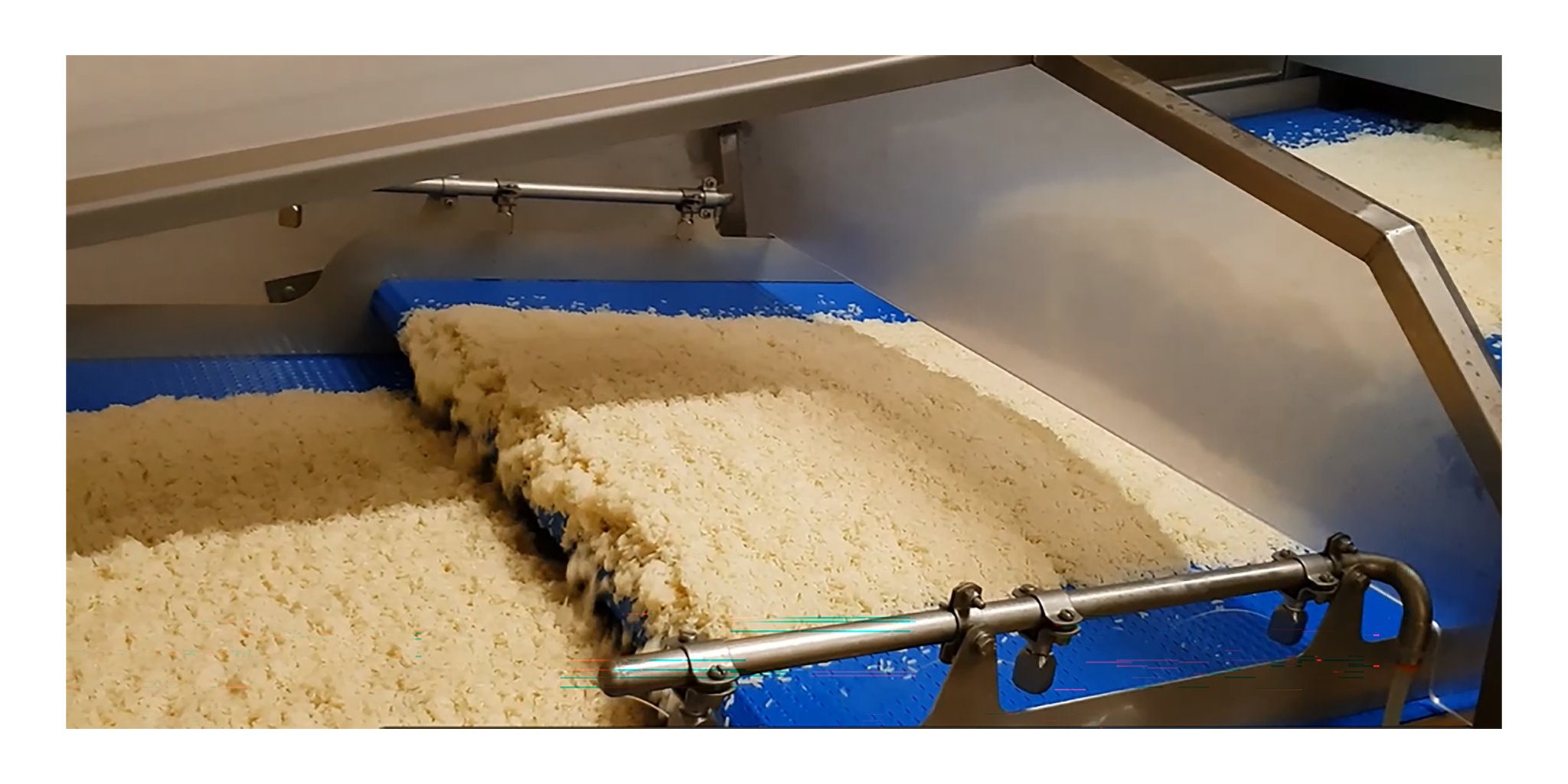 Rice Cooking and Cooling Line